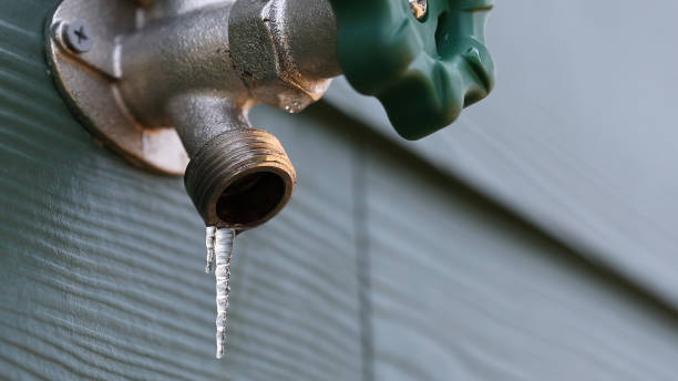 Best Septic Systems  in Mcgaheysville, VA